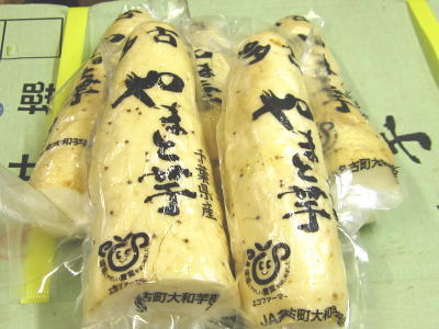 imoyamato20_231215.jpg