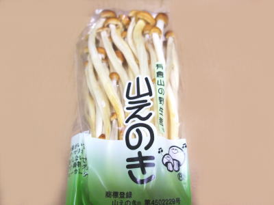 <br>山榎〈ヤマエノキ〉<br>1ケース、20パック前後、2Kg前後
