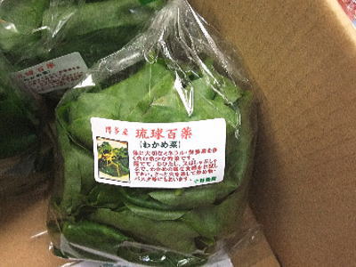 わかめん 楽天市場】わかめ菜〈ワカメナ〉1パック、100g前後 : 【築地通販