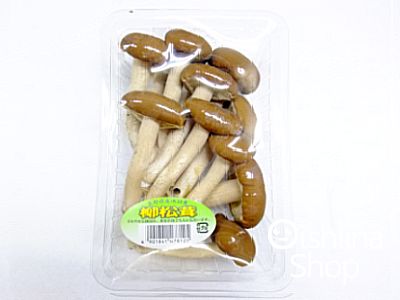 <br>柳松茸〈ヤナギマツタケ〉<br>1ケース、20パック前後、2Kg～4Kg前後