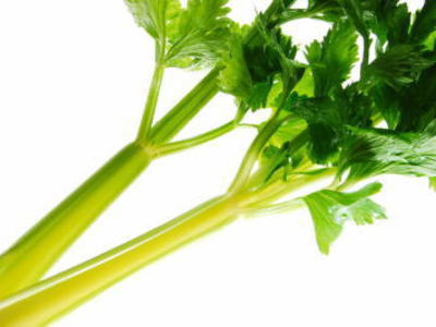 楽天市場】セロリ別称：セルリー1束、1Kg〜1.5Kg前後 : 【築地通販