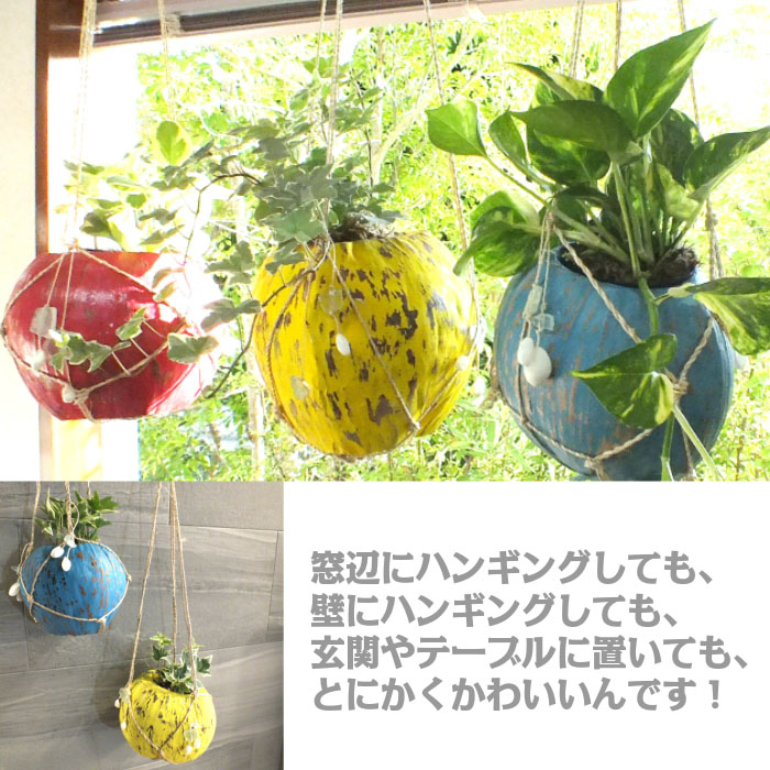 アイビー ココプランターセット 母の日 ギフ ト 観葉植物 母の日 父の日 ギフト おしゃれ 吊り下げ ココの実プランター お祝い プレゼント 受皿付 送料無料 自社配合土で植え替え 選べる Crunchusers Com