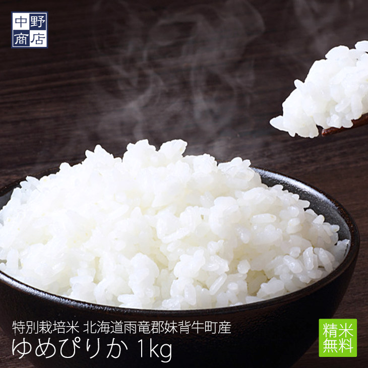 楽天市場】【令和6年度産】2合×5個セット レターパック送料無料