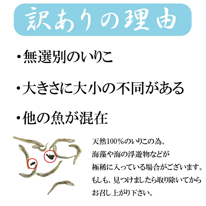 クーポンあり送料無料メール便煮干し食べるいりこ100g食べる用にぼしいりこおやついりこ