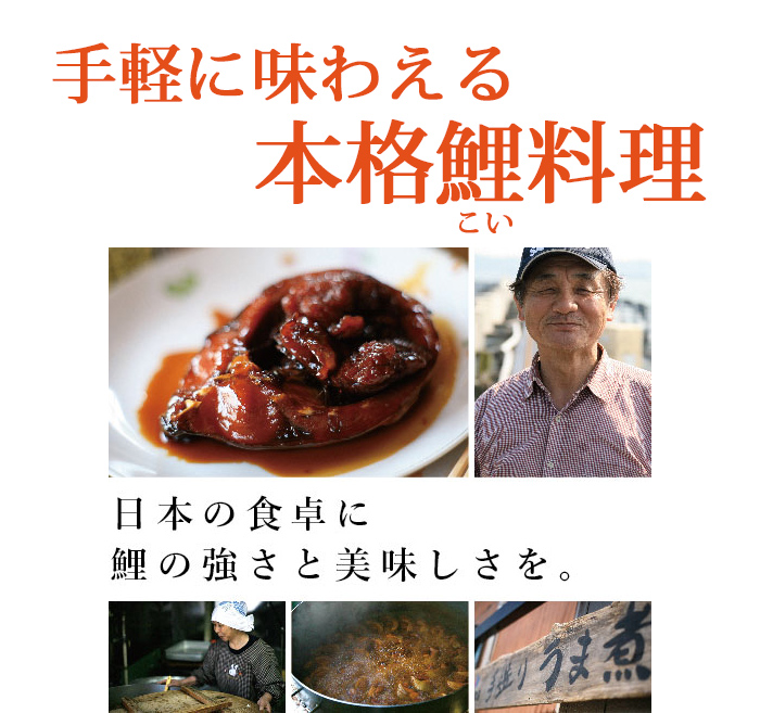 国産 鯉こく 6嚢 鯉かた付ける コモリ食物 お中元のし調和可 Acilemat Com