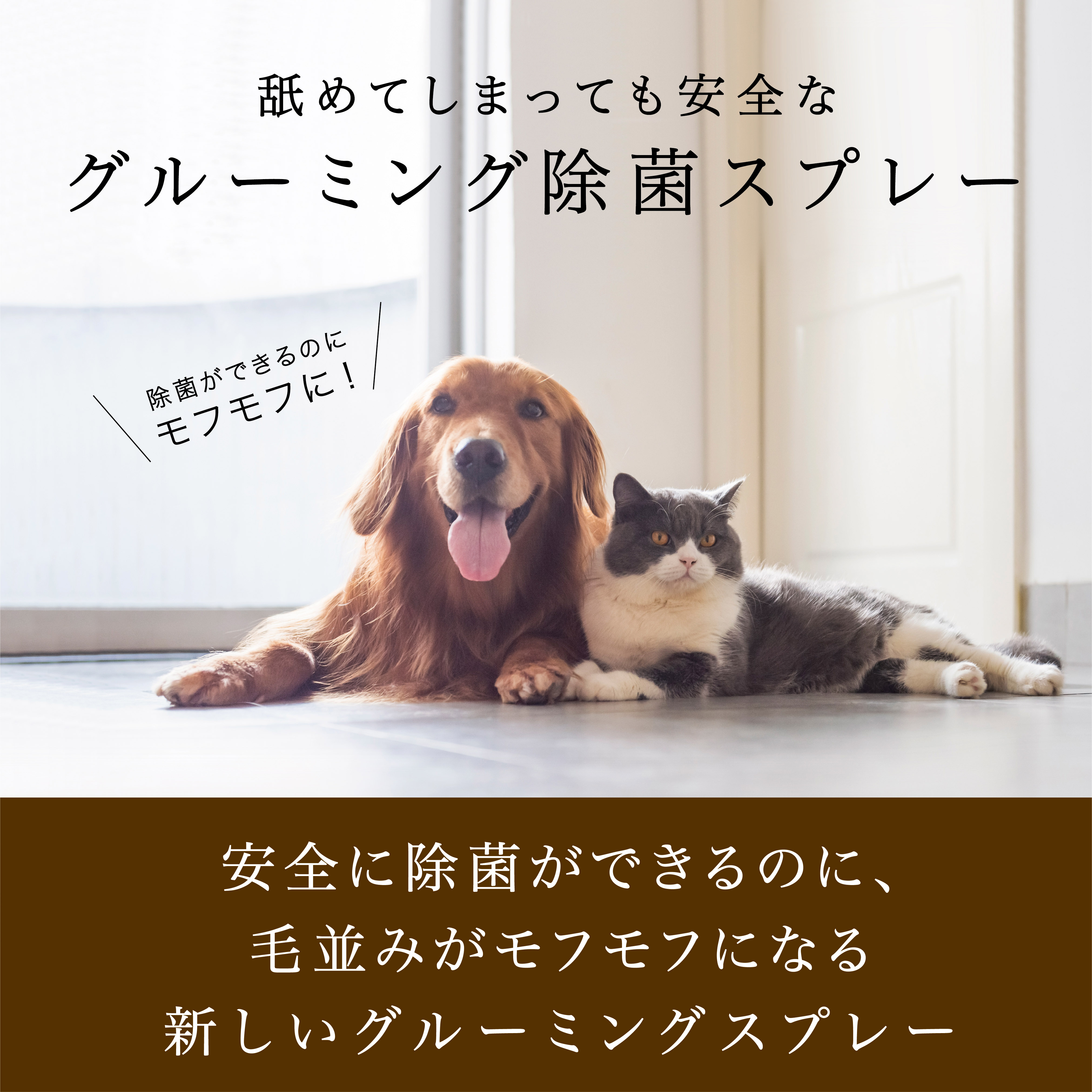 楽天市場 獣医師推奨 携帯用 グルーミング スプレー 送料無料 犬用 猫用 シャンプー 代わりのマストアイテム 無香料 消臭 除菌 ブラッシング 飲めるほど安全 特許取得済 脂汚れ除去 散歩 シニア トリミング ノンアルコール 無添加 敏感肌 皮膚炎 マラセチア コロナ