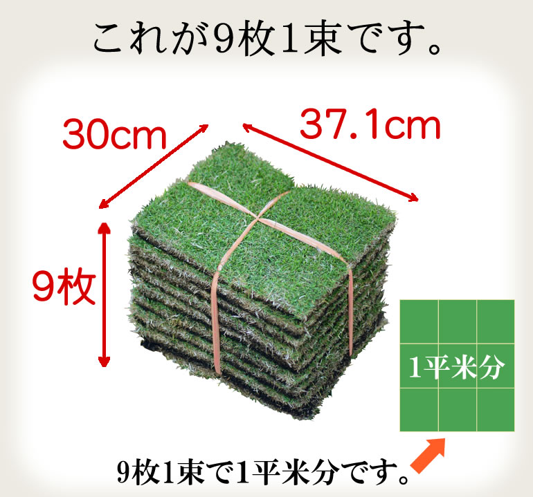 楽天市場 芝生 Tm9 2平米 ティーエムナイン 鹿児島産 高麗芝 手入れが楽 簡単で見た目もキレイな芝生 楽天市場芝生ジャンル連続1位獲得 やっぱり人工芝より天然芝 ガーデニング Diy 美景観 省管理 少ない肥料 店頭受取対応商品 プロジェクト鹿児島