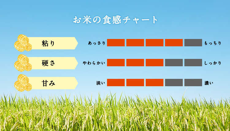 お中元米石川県産お米ギフトお米2kg2キロ令和4年石川県産ひゃくまん穀2ｋｇコロナ応援食品入学内祝い引っ越し挨拶名入れプレゼントのし対応