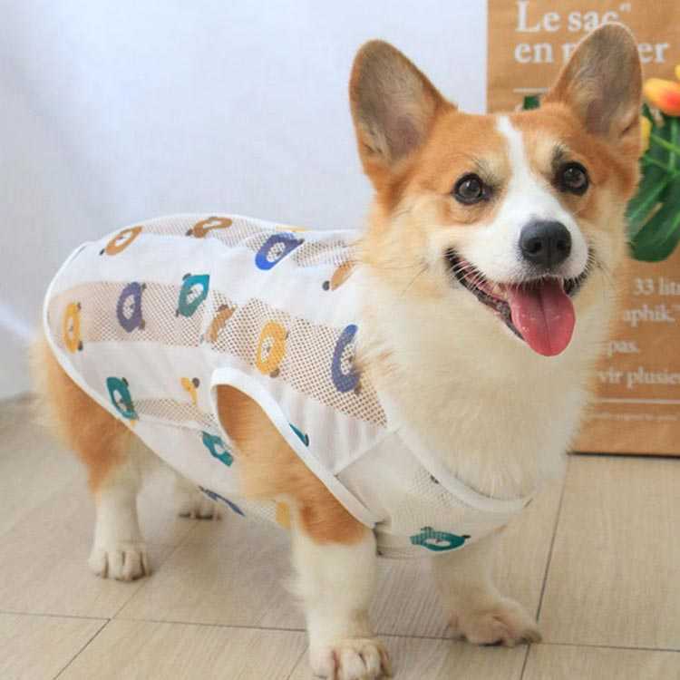 市場 猫服 中型犬 犬服 犬の服 いぬ服 タンクトップ いぬ 小型犬 袖なし 日焼け止め ネコ服 服 ねこ メッシュ 日よけ イヌ トイプードル 市場 猫服 中型犬 犬服 犬の服 いぬ服 タンクトップ いぬ 小型犬 袖なし 日焼け止め ネコ服 服 ねこ メッシュ 日よけ イヌ トイプードル