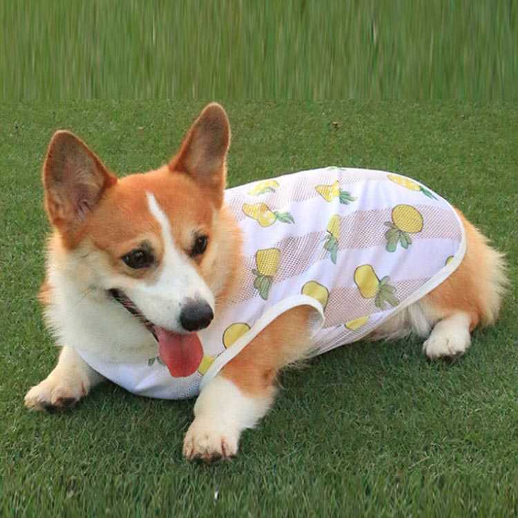 市場 猫服 中型犬 犬服 犬の服 いぬ服 タンクトップ いぬ 小型犬 袖なし 日焼け止め ネコ服 服 ねこ メッシュ 日よけ イヌ トイプードル 市場 猫服 中型犬 犬服 犬の服 いぬ服 タンクトップ いぬ 小型犬 袖なし 日焼け止め ネコ服 服 ねこ メッシュ 日よけ イヌ トイプードル