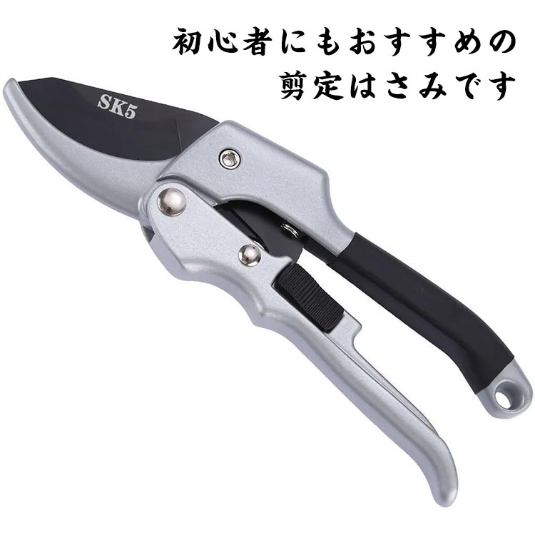 茎切りはさみ 枝切り鋏 ガーデニングはさみ ロック可能 切れ味 剪定はさみ 剪定ばさみ 剪定ハサミ 剪定鋏 園芸ハサミ 園芸用品 庭木 枝切りはさみ 枝切りハサミ 生花用 盆栽 花鋏 草花切りはさみ 錆びに強い 即日出荷 剪定はさみ