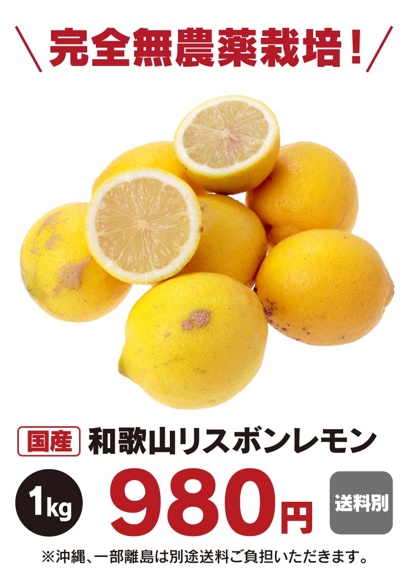 新品即決 レモン 国産 無農薬 送料無料 kg 黄色レモン ノーワックス 農園直送 和歌山産 有機栽培 産地直送 オーガニック グリーンジャンクション 国産 Salvatori Com Br