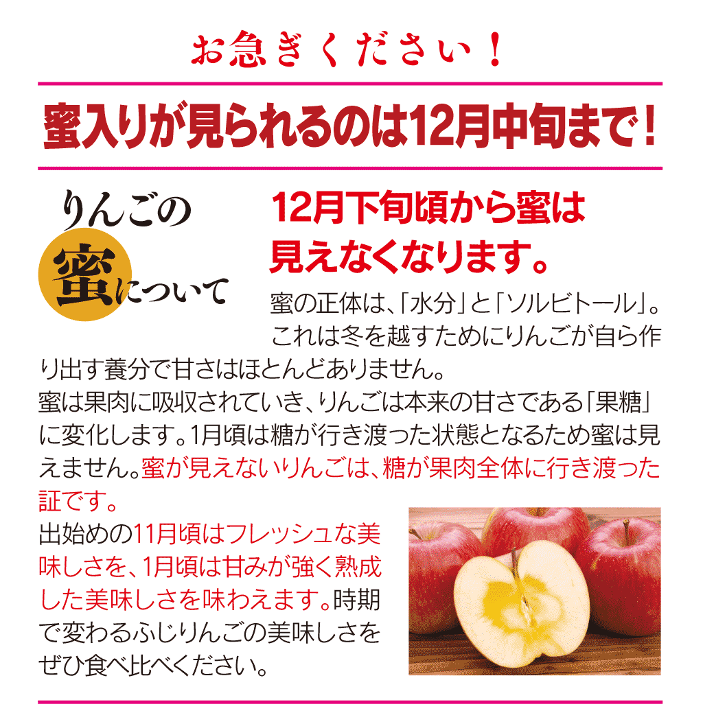 りんご 蜜入り サンふじ 4.5kg 特選 玉揃い ギフト向け 12月上旬より順次出荷 約12玉-16玉前後 送料無料 秋田産 フルーツ 果物 大嶌屋  おおしまや 【楽ギフ_のし宛書】