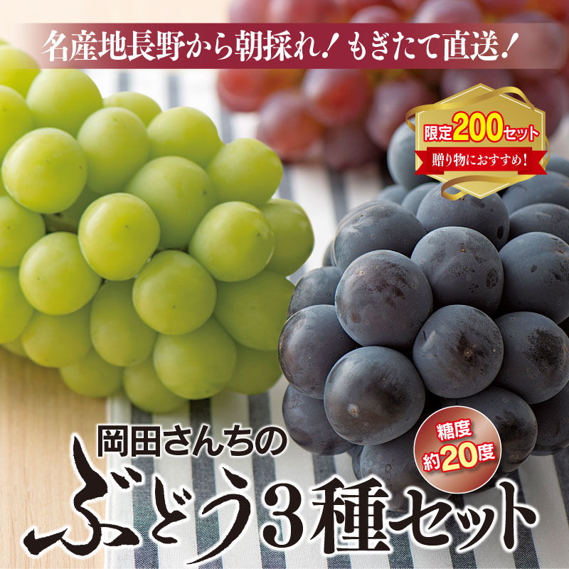 楽天市場 ぶどう 3種 送料無料 シャインマスカット 巨峰 ピオーネ 3房 約1 5kg 予約 9月中旬より出荷 フルーツ 果物 ブドウ 葡萄 食べ比べ 長野産 産地直送 大嶌屋 おおしまや おいしさ直送 熊本おおしま屋