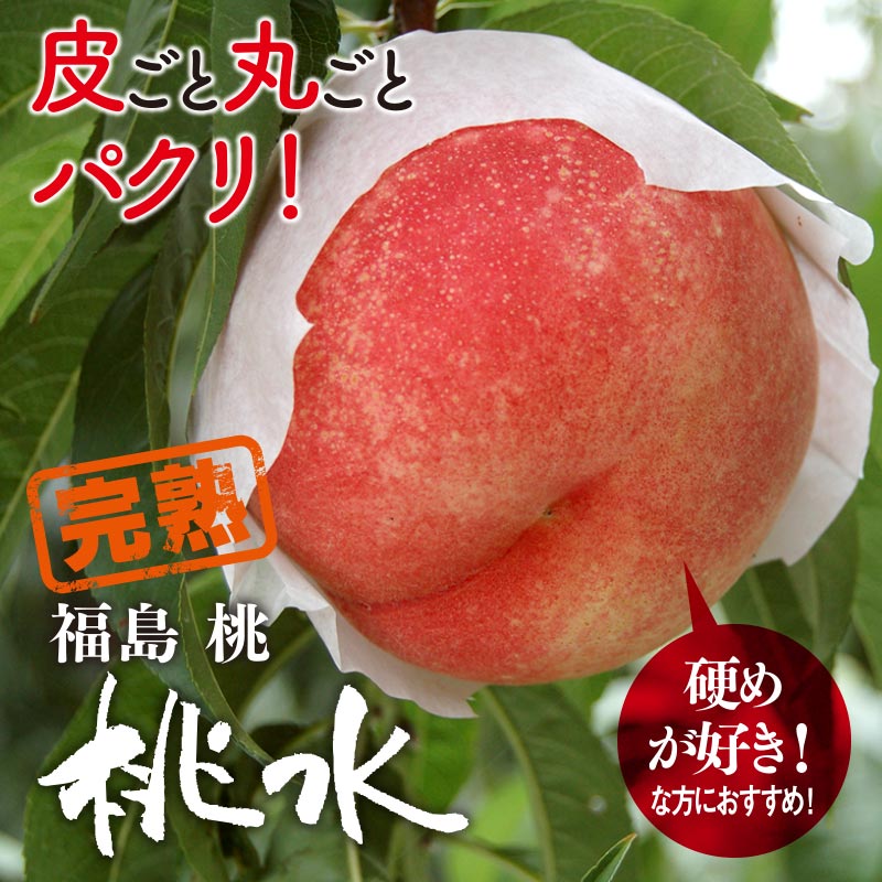 【楽天市場】桃 桃水 （とうすい） 送料無料 完熟 福島の桃 もも 1.8kg ギフト 菱沼農園 満天 青空 レストラン 産地直送 農家直送