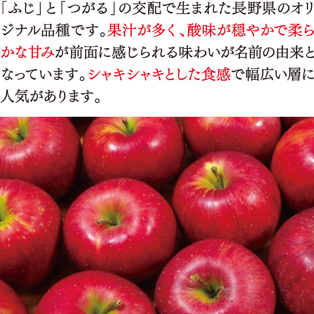 誕生日プレゼント りんご シナノスイート 4.5kg 12〜18玉前後 10月中旬より順次出荷 送料無料 長野 リンゴ 長野産 長野県 農家直送 国産  フルーツ 果物 大嶌屋 おおしまや support.webbnc.net