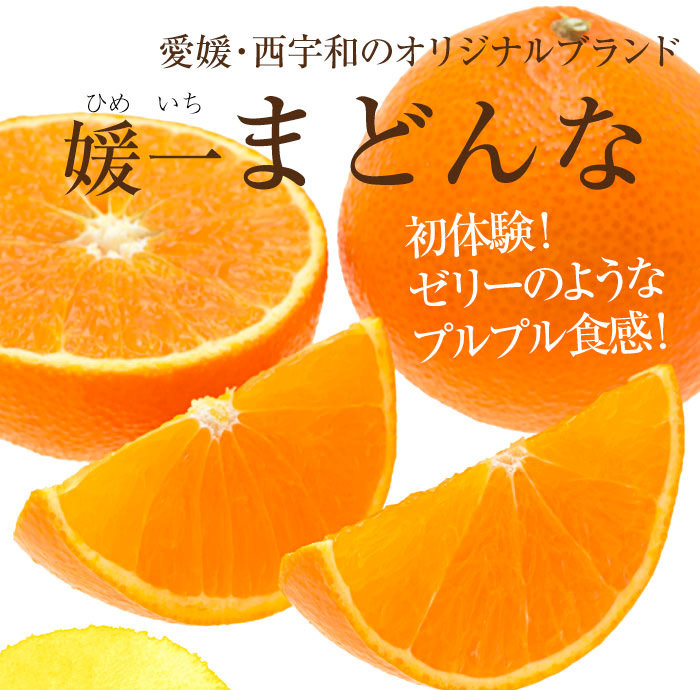 楽天市場 2倍 媛一 まどんな 3kg 送料無料 大小混合 約玉から30玉 小傷あり みかん 別名 紅まどんな 紅マドンナ 12月中旬より順次出荷 フルーツ 果物 大嶌屋 おおしまや おいしさ直送 熊本おおしま屋