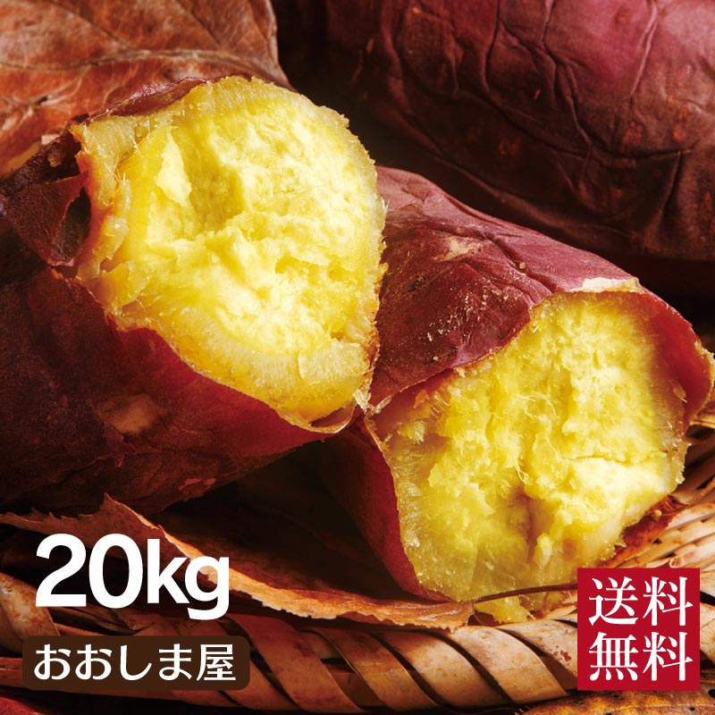 からいも 生芋 土付き 熊本 大嶌屋 おおしまや おいしさ直送 熊本おおしま屋 送料無料 熊本 料理 シルクスイート 送料無料 唐芋 国産 料理 さつまいも 泥付き さつま芋 kg 60本 100本 予約受付中11月下旬より 焼き芋推奨 スプーンで掬えるほど滑らかで口