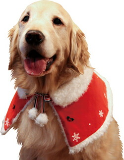 楽天市場 リバーシブルクリスマスケープ 大型犬向けウェア あす楽対応 アイアンバロン
