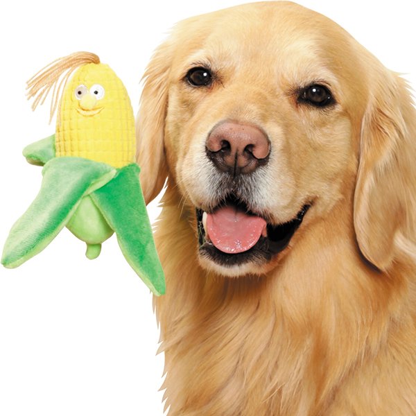 とうもろこし　おもちゃ 22corn-s.jpg