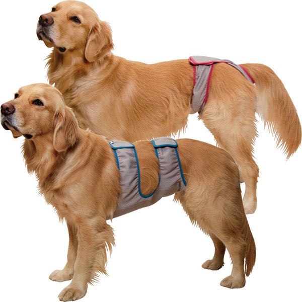 アイアンバロン　大型犬カート　犬介護カート　犬バギー　犬介護用品 介護用お散歩カート（犬用介護用品）