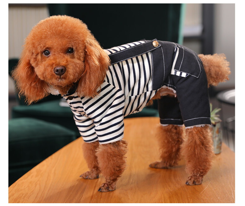 【楽天市場】ペット服【ボーダー柄オールインワン】裏起毛 ペット用品 犬 犬用 ペット 犬 犬服 ドッグウェア 服 秋冬 小型犬用つなぎ服 ...