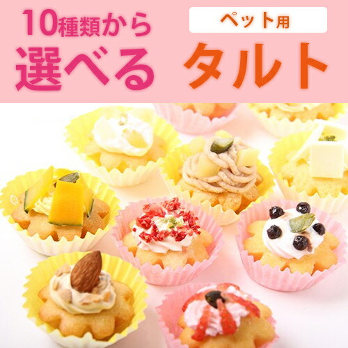 10種類から選べる Namara ケーキ タルト 犬 クリスマス ワンダードック プレゼント 10種類から選べる Namara ケーキ タルト 犬 クリスマス ワンダードック プレゼント