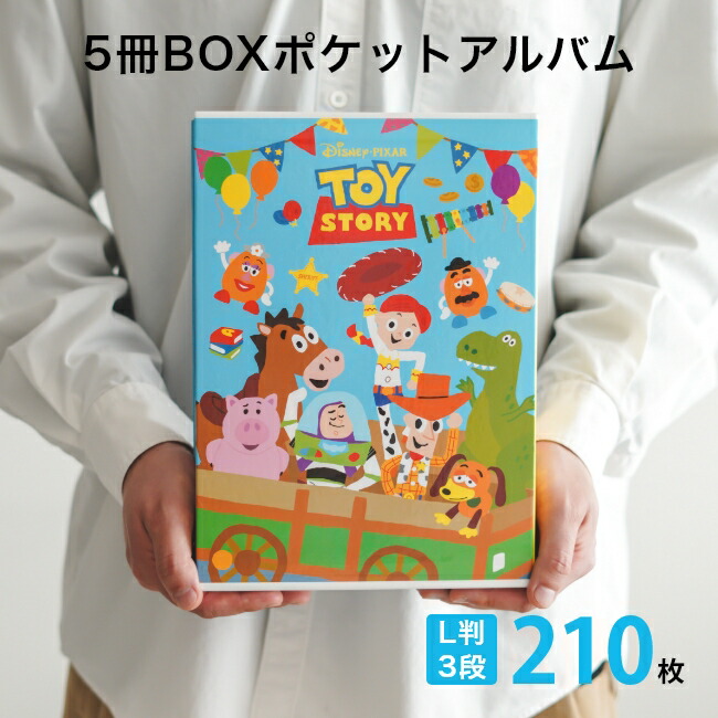楽天市場】【送料無料】【2種類まとめ買いセット】ナカバヤシ 5冊BOX