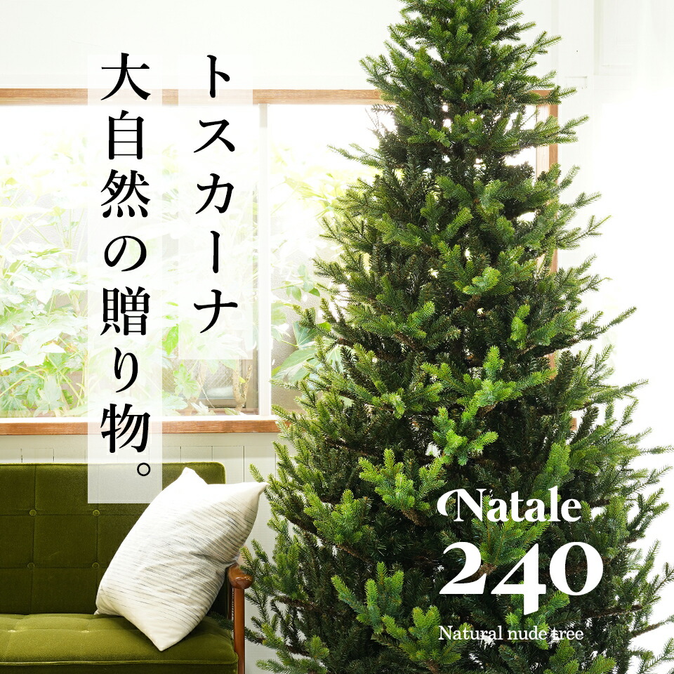 楽天市場 240cm Natare ナターレ クリスマスツリー 高級 北欧 ヌードツリー クリスマス ツリー Natare ナターレ 本物のモミの木に近い 4サイズ展開 リアルさにこだわり 葉も枝もビッシリ ボリュームツリー まるで本物 ヌードツリー 送料無料 ピカキュウhome