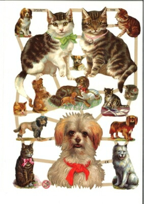 楽天市場 ドイツ製 クロモス 犬と猫 動物 Hunde Und Katzen デコパージュ コラージュ スクラップピクチャー ダイカット エンボス アンティーク ｐｉｐｐｙ ２号店