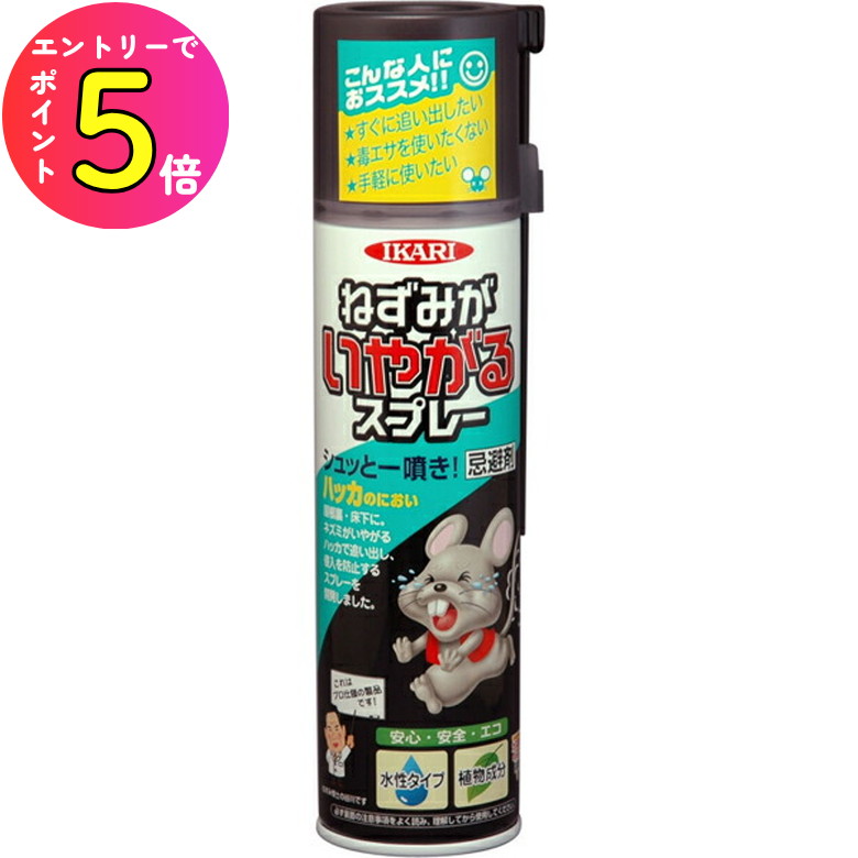 ねずみ nkesen5564_3.jpg