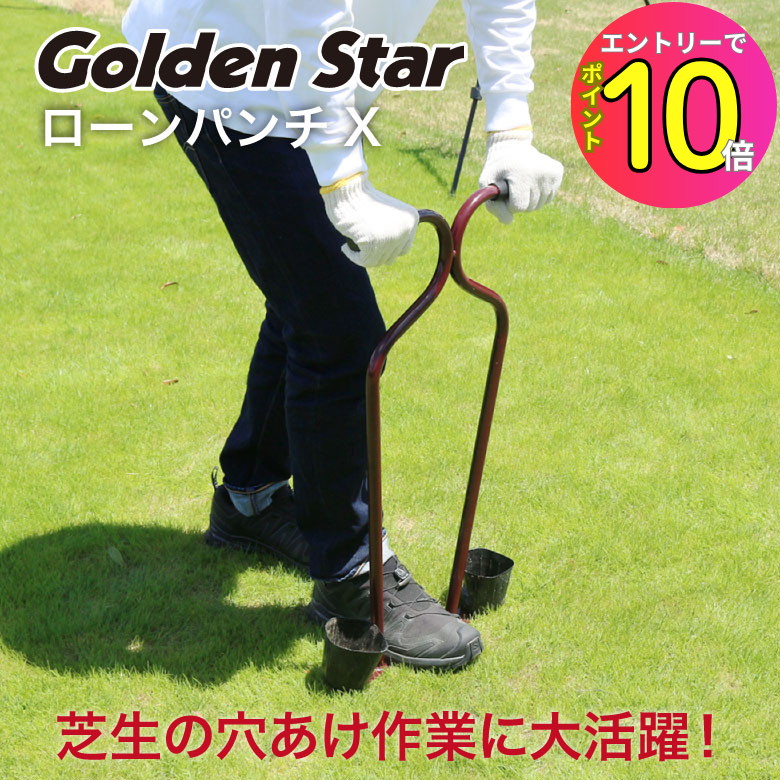 楽天市場】[エントリーでP10倍!] 芝の手入れ 芝生