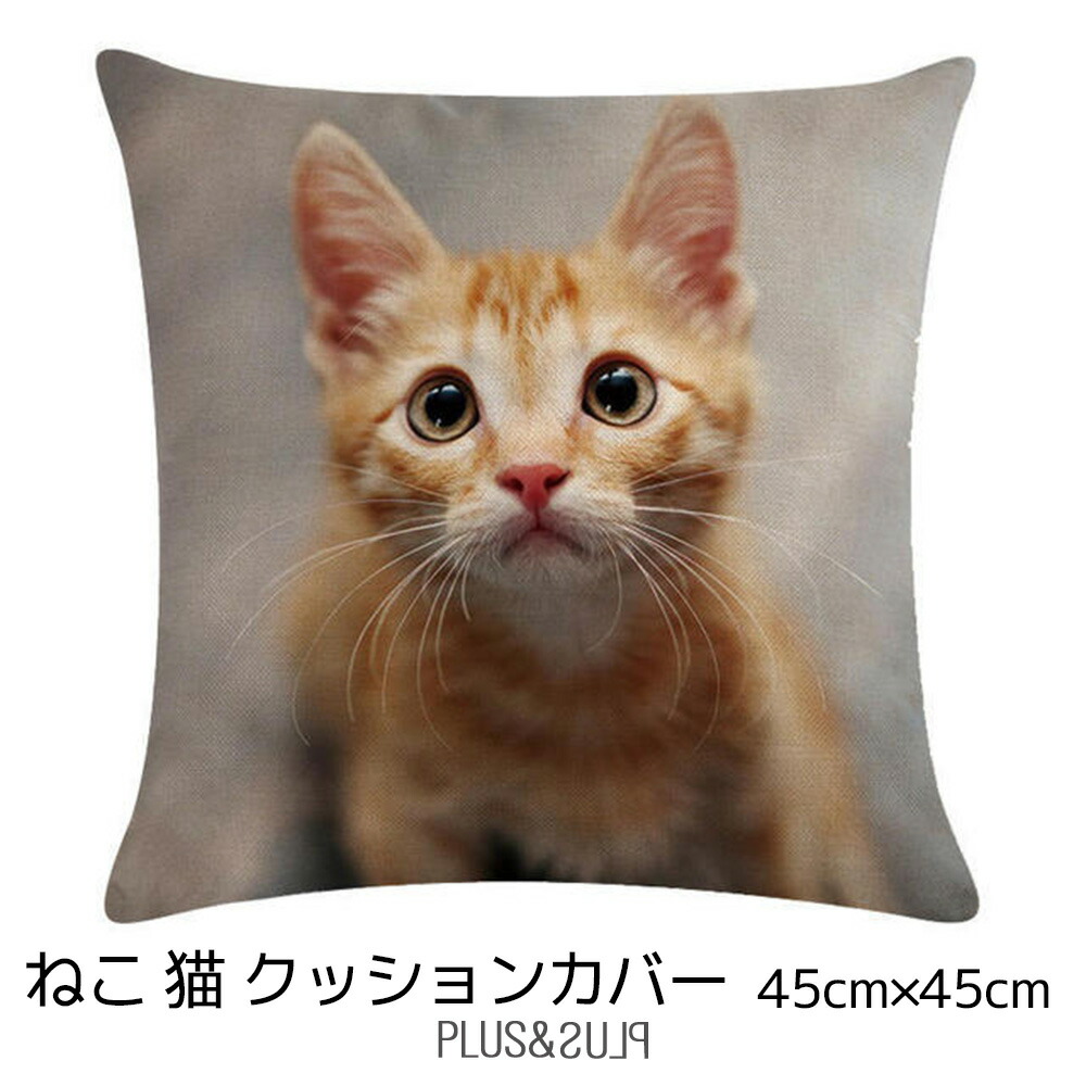 楽天市場】クッションカバー 猫 ネコ ねこ 茶トラ 子猫 45x45cm