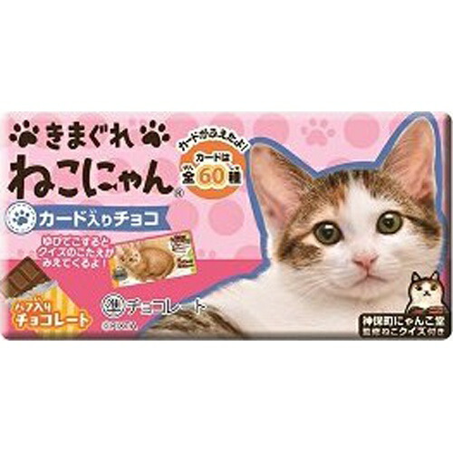 気まぐれNekoのちょこ(20個セット)10月?4月プチギフト チョコ 結婚式 お菓子 退職 お礼 子供会 イベント 景品 粗品 可愛い バ 気まぐれNekoのちょこ(20個セット)10月?4月プチギフト チョコ 結婚式