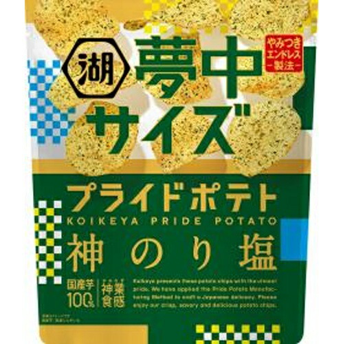 湖池屋 夢中サイズ プライドポテト 神のり塩 102g×12袋