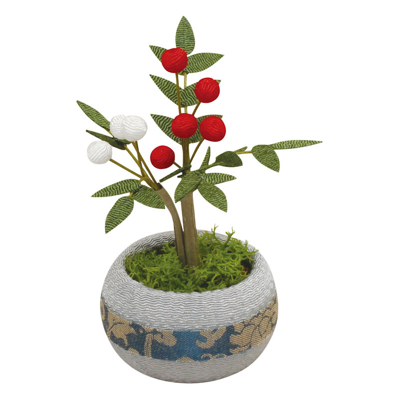 楽天市場】季節の鉢植え ミニ 9月 キキョウとススキ 手作り