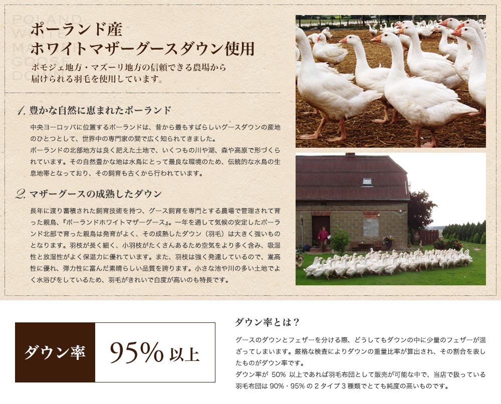 全品送料無料 日本製 羽毛布団 セミダブル 掛け布団 80サテン 440ダウンパワー 羽布団 羽毛掛布団 羽根布団 フェザー 羽毛掛け布団 羽毛ぶとん 掛けふとん 掛ふとん 掛布団 かけ布団 冬 おすすめ 羽毛 暖かい 軽い 軽量 羽根 冬用 グースダウン グース 防ダニ