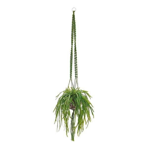 楽天市場 インテリア フェイクグリーン 人工観葉植物 造花リプサリス マクラメハンギング オリーブ Greenpark 観葉植物 観葉 植物 人工 人工植物 フェイク グリーン おしゃれ イミテーショングリーン Prima Greenpark