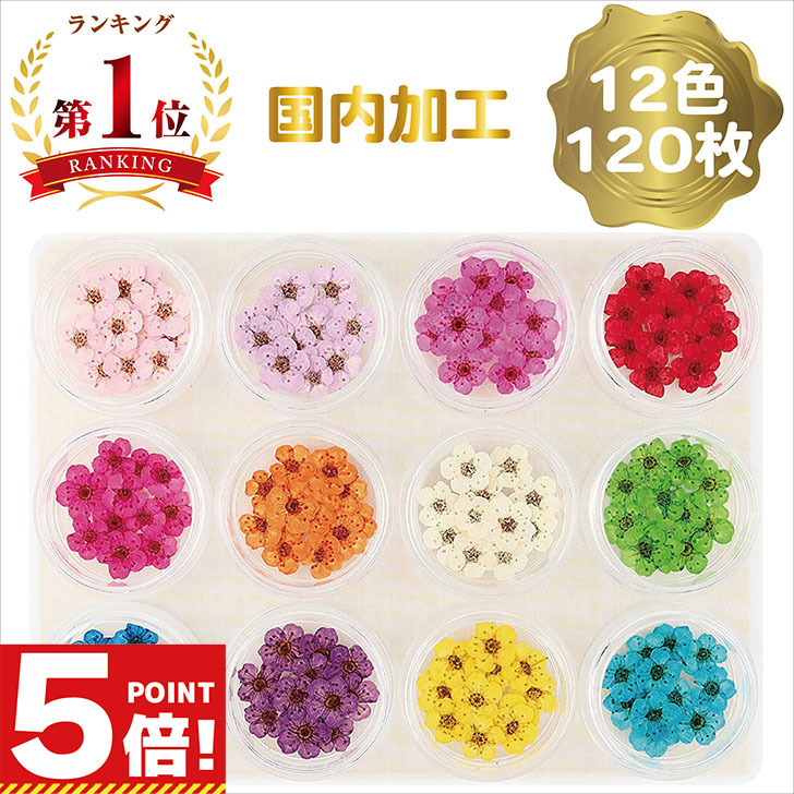 楽天市場】かすみ草 咲いた花 ドライフラワー ハンドメイド用 小分け