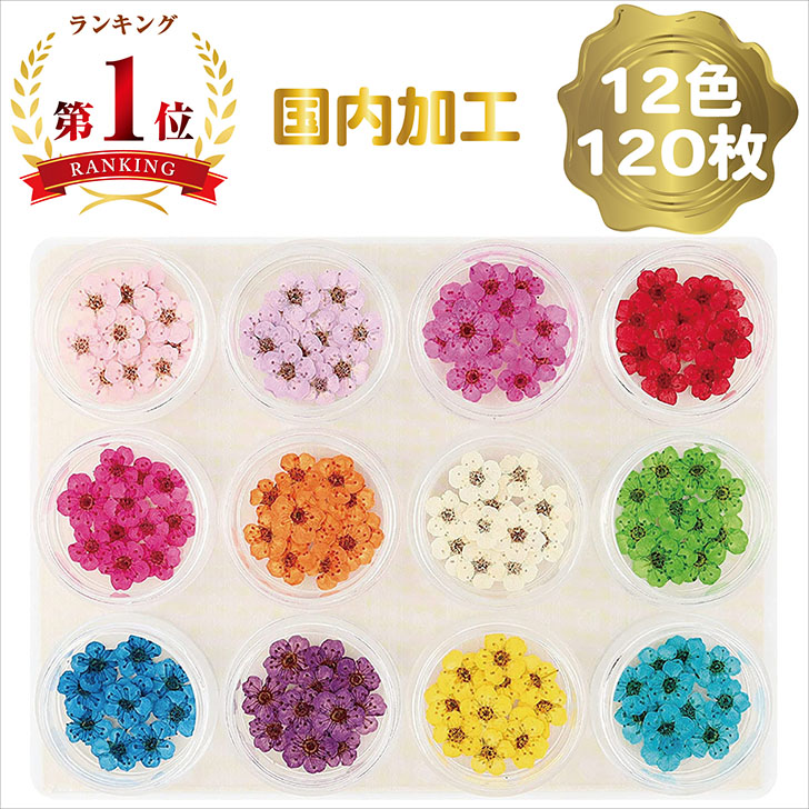 楽天市場】【P5倍!お買い物マラソンCPあり】 かすみ草 咲いた花 ドライ