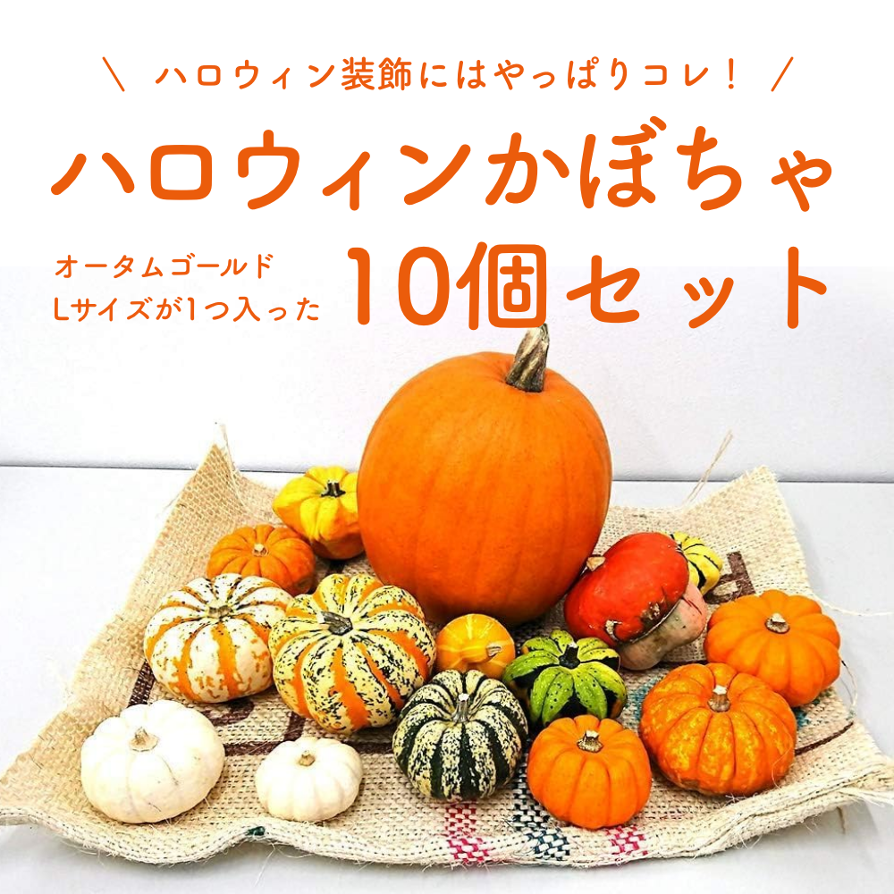 楽天市場】ハロウィン用おもちゃかぼちゃ フルーツミックス様々な種類