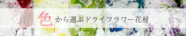 楽天市場】《 アレンジ資材 ラッピング リボン 》☆即日出荷☆PASEO パセオ ハンドメイド用リボン(3m) ; ※色とサイズの説明をご確認ください※ラッピング  クラフト ギフト プレゼント フラワーアレンジ 装飾 : 造花ドライフラワー専門問屋花びし