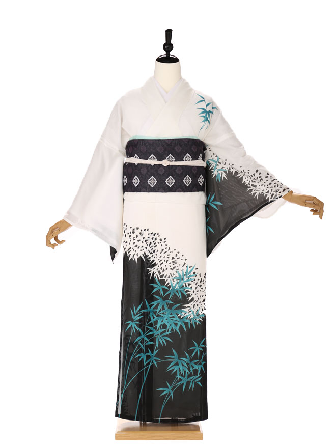 夏の訪問着★絽　セット H0292L_06.jpg