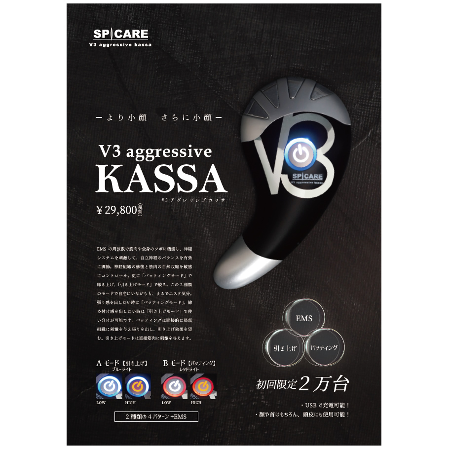 V3 aggressive kassa RF - その他