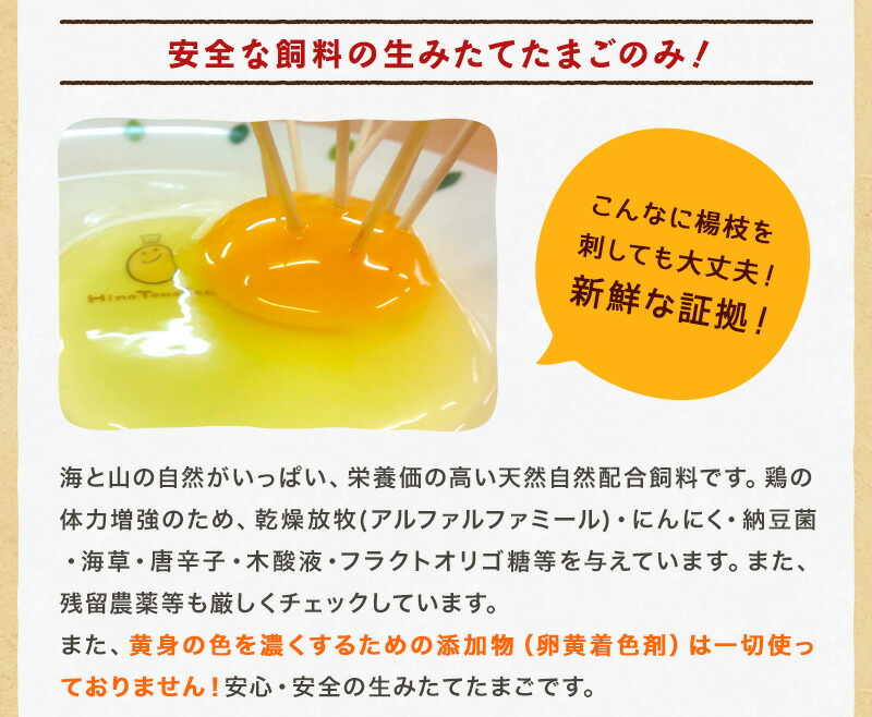ひなたまこっこのふわふわ新食感ブッセ”天使のふわふわたまご”6個入り【三種のチーズのバランスが絶妙なクリームをサンド】