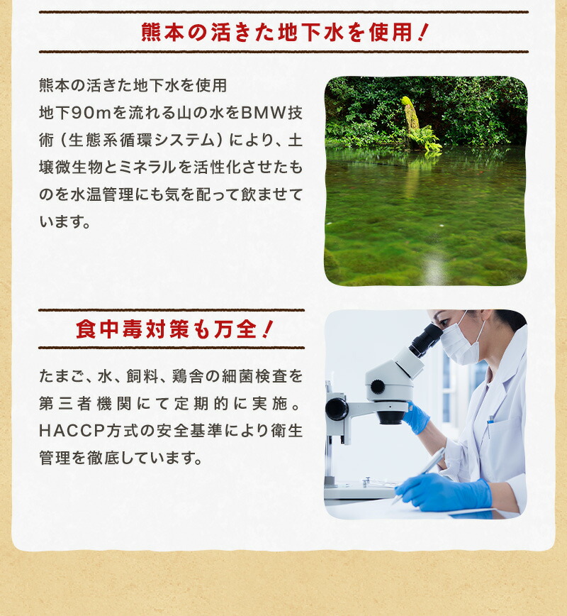 ひなたまこっこのふわふわ新食感ブッセ”天使のふわふわたまご”6個入り【三種のチーズのバランスが絶妙なクリームをサンド】