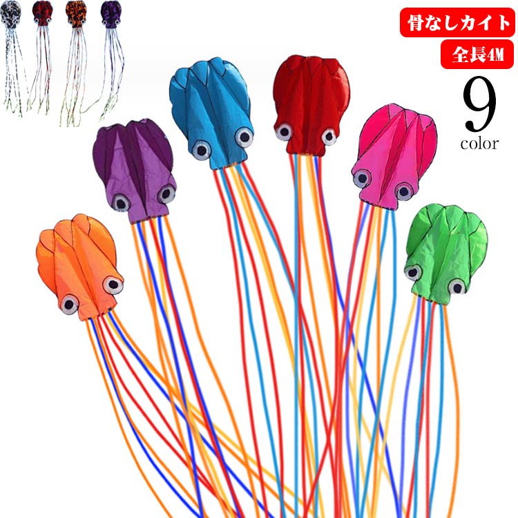 舟木一夫（大入凧）3点セット 舟木一夫（大入凧）3点セット 舟木一夫 ⁄ 芸能生活55周年記念 舟木