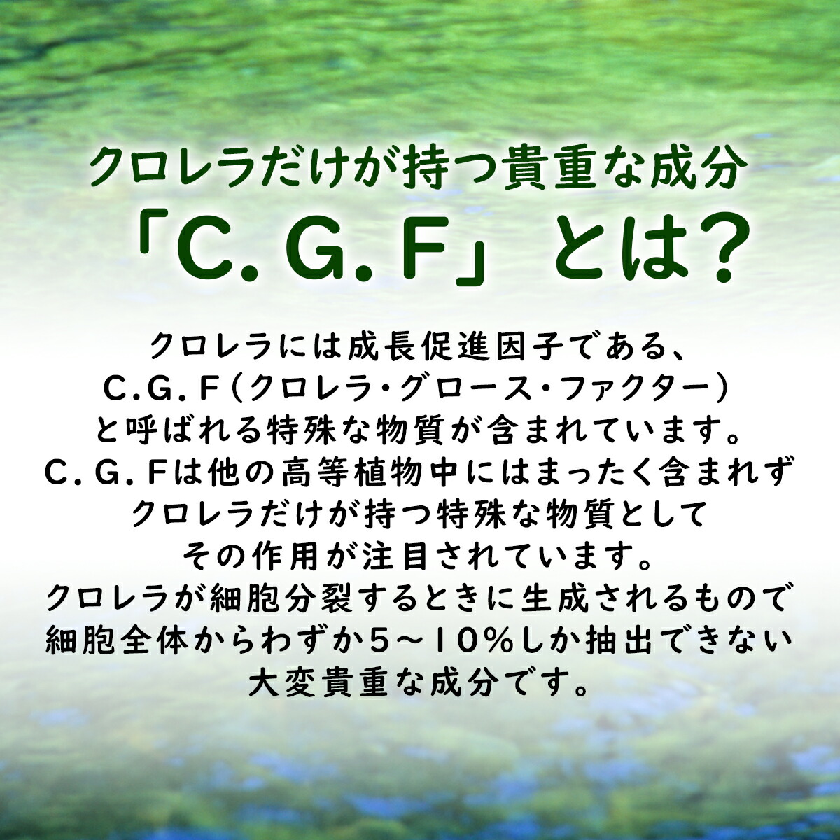 クロレラエキス C G F液 八重山 7ml ヤエヤマクロレラ 送料無料 国産 沖縄 石垣島 健康 美容 アミノ酸 クロロフィル 葉酸 スーパーフード Rvcconst Com クロレラエキス C G F液 八重山 7ml ヤエヤマクロレラ 送料無料 国産 沖縄 石垣島 健康 美容 アミノ酸 クロロフィル 葉酸 スーパーフード Rvcconst Com
