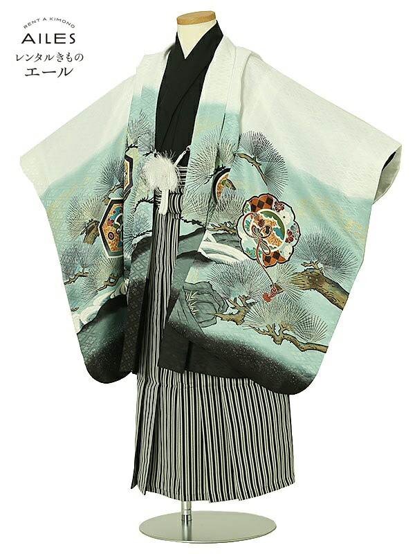着物セット Ginger掲載商品 ５才男の子 着物 七五三 5歳 きもの 卒園式 お祝い お正月 和装 貸衣装 袴セット 羽織袴 七五三袴 男児 鷹に松 緑 白 Ao50 袴レンタル 5歳 かんたん七五三 着物 レンタル 七五三 人気柄 往復送料無料 新品足袋プレゼント 人気