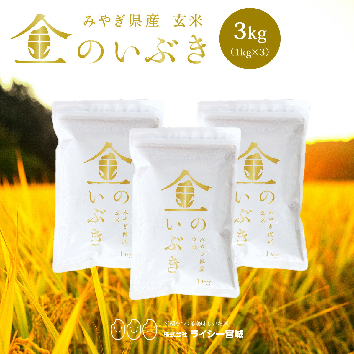 楽天市場】かどまさやのスーパー玄米 1kg 国内産玄米100% 超高